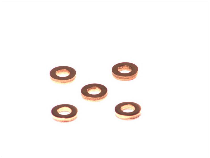 Delphi 9001-850C - Bague d'étanchéité, compartiment du gicleur droxauto.com