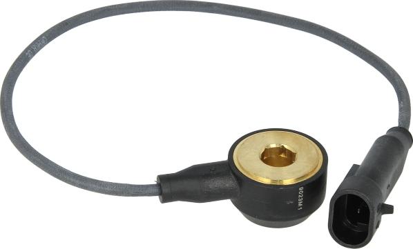 Delphi AS10134-12B1 - Capteur de cognement droxauto.com