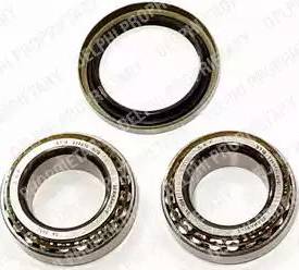 Delphi BK432 - Kit de roulements de roue droxauto.com