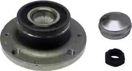 Delphi BK1599 - Moyeu de roue droxauto.com