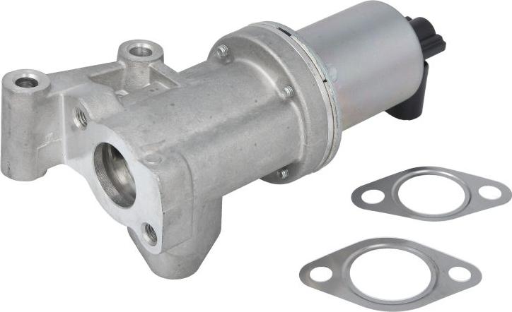 Delphi EG10609-12B1 - Vanne EGR droxauto.com
