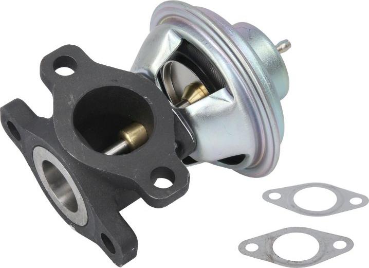 Delphi EG10623-12B1 - Vanne EGR droxauto.com