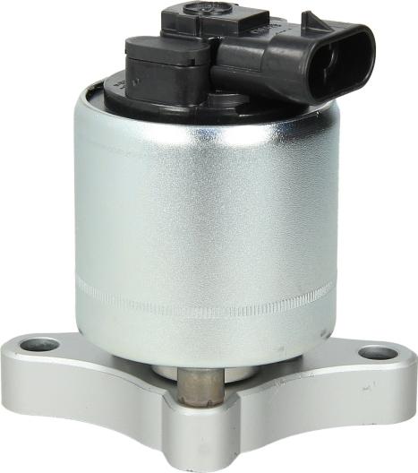 Delphi EG10003-12B1 - Vanne EGR droxauto.com