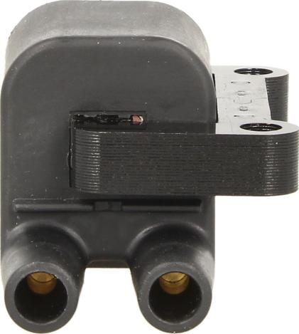 Delphi GN10397-12B1 - Bobine d'allumage droxauto.com