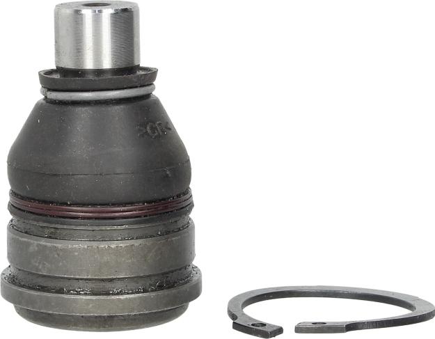 Delphi TC2164 - Rotule de suspension droxauto.com