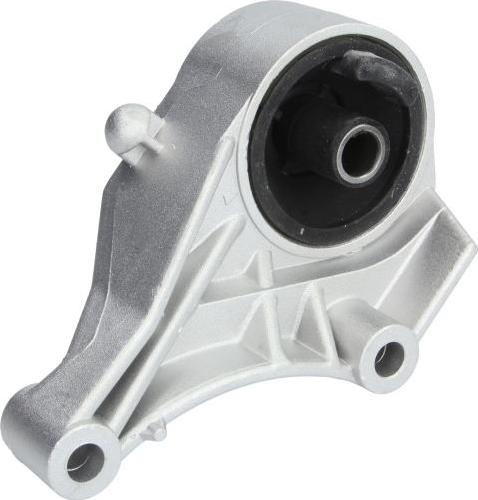 Delphi TEM031 - Support moteur droxauto.com
