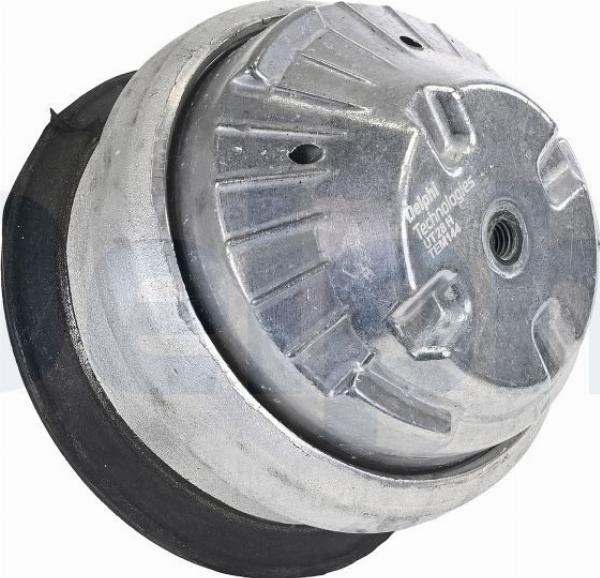 Delphi TEM144 - Support moteur droxauto.com