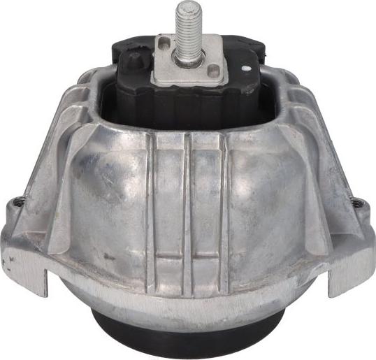 Delphi TEM100 - Support moteur droxauto.com