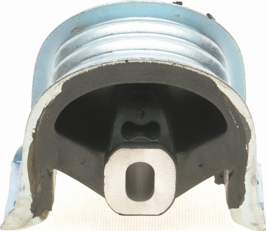 Delphi TEM125 - Support moteur droxauto.com