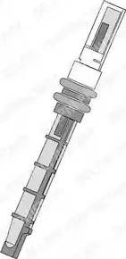 Delphi TSP0695197 - Gicleur, détendeur droxauto.com