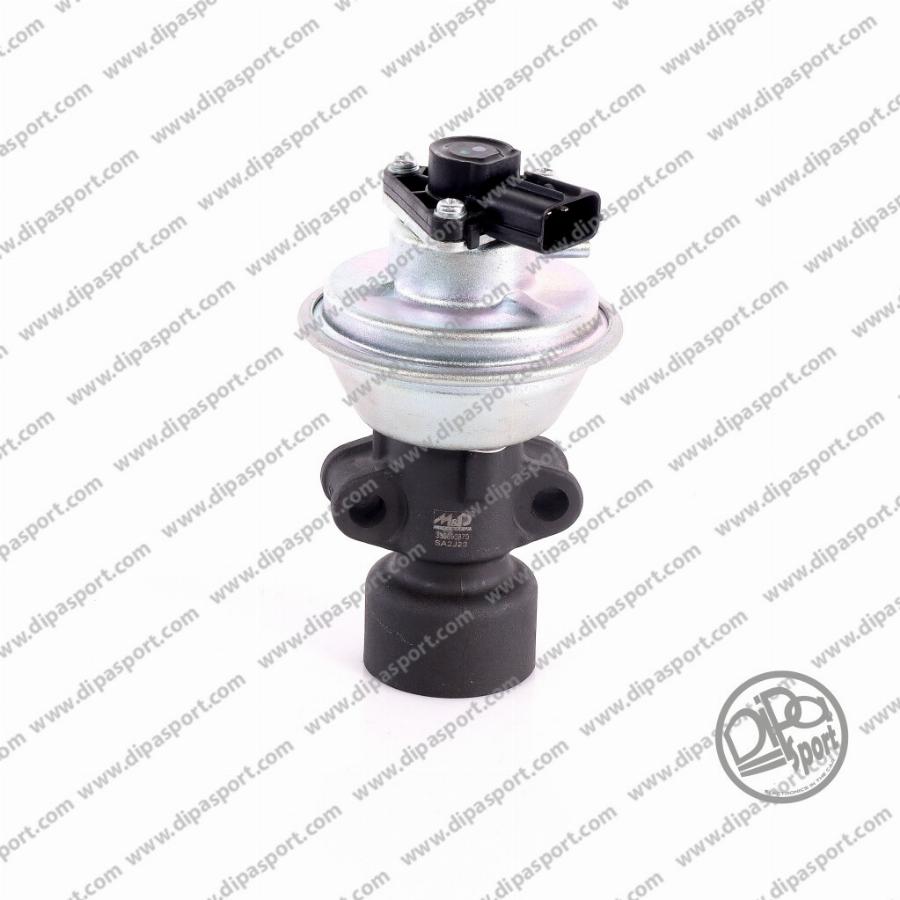 Dipasport EGR487MTDN - Vanne EGR droxauto.com