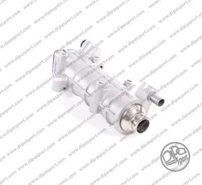 Dipasport EGR066SN - Radiateur, réaspiration des gaz d'échappement droxauto.com