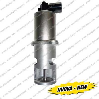 Dipasport EGR019N - Vanne EGR droxauto.com