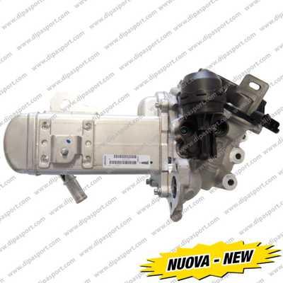 Dipasport EGR159N - Vanne EGR droxauto.com