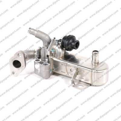 Dipasport EGR165AN - Vanne EGR droxauto.com