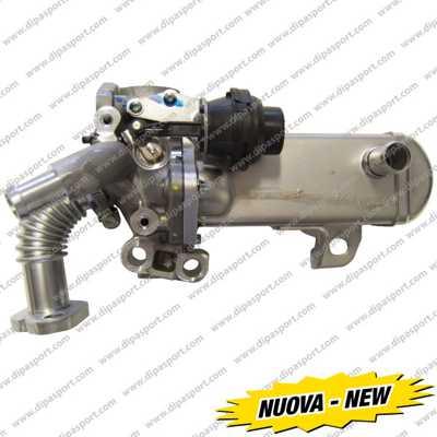 Dipasport EGR165N - Vanne EGR droxauto.com