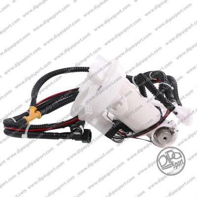 Dipasport GACC486PRBN - Capteur, niveau de carburant droxauto.com