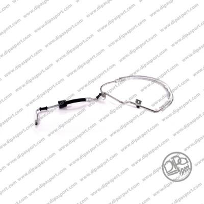 Dipasport HSEEPI002N - Tuyau hydraulique, direction droxauto.com