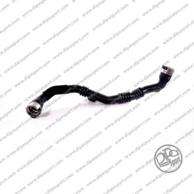 Dipasport HSEKLR065DPSN - Gaine de suralimentation droxauto.com