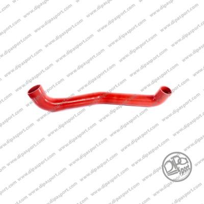 Dipasport HSEKLR077DPSN - Gaine de suralimentation droxauto.com