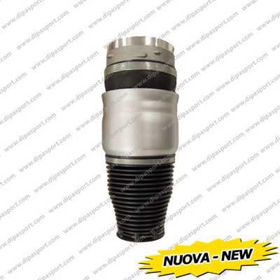 Dipasport SSA02571AN - Ressort pneumatique, châssis droxauto.com