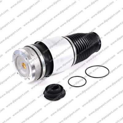 Dipasport SSA02572AN - Ressort pneumatique, châssis droxauto.com