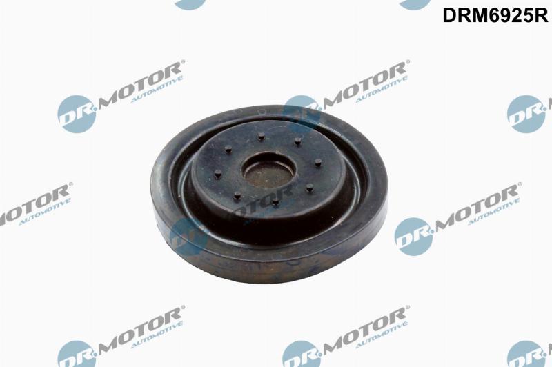 Dr.Motor Automotive DRM6925R - Kit de réparation, ventilation du carter-moteur droxauto.com