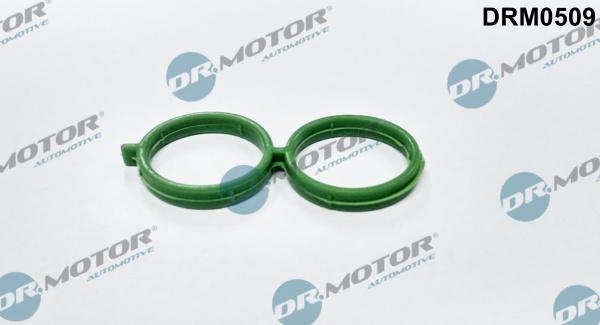 Dr.Motor Automotive DRM0509 - Joint, contrôle de ralenti droxauto.com