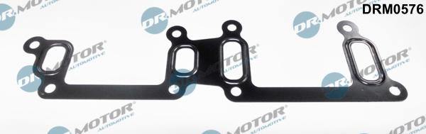Dr.Motor Automotive DRM0576 - Joint d'étanchéité, tuyau de liquide de refroidissement droxauto.com