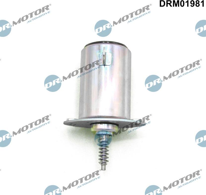 Dr.Motor Automotive DRM01981 - Valve de commande, réglage d'arbres à came droxauto.com