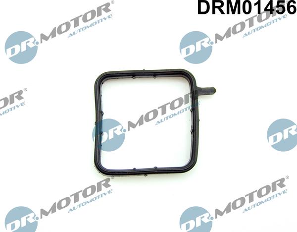 Dr.Motor Automotive DRM01456 - Joint d'étanchéité, tuyau de liquide de refroidissement droxauto.com