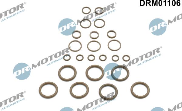 Dr.Motor Automotive DRM01106 - Kit de réparation, climatisation droxauto.com