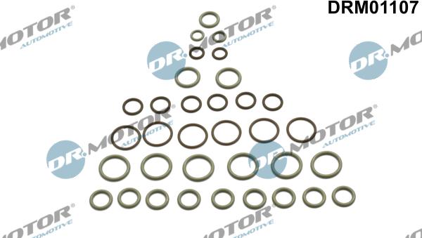 Dr.Motor Automotive DRM01107 - Kit de réparation, climatisation droxauto.com
