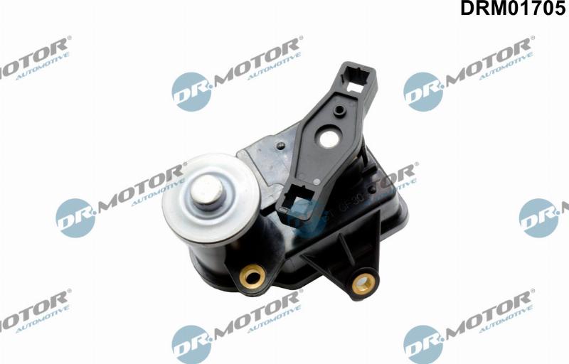Dr.Motor Automotive DRM01705 - Element d'ajustage, soupapes de turburlence (tuyau d'admis°) droxauto.com