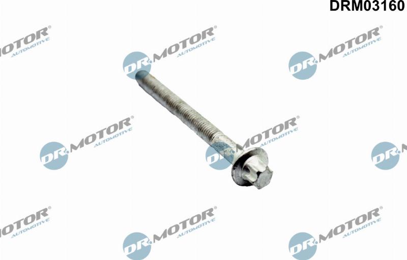 Dr.Motor Automotive DRM03160 - Vis de culasse droxauto.com