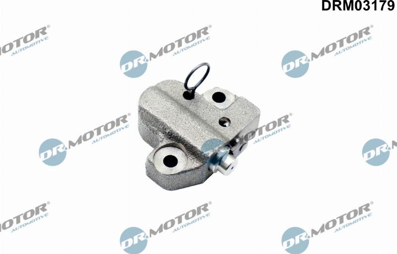Dr.Motor Automotive DRM03179 - Tendeur de chaîne, chaîne de distribution droxauto.com