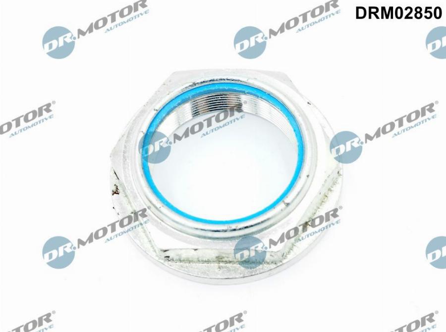 Dr.Motor Automotive DRM02850 - Écrou, bout d'essieu droxauto.com