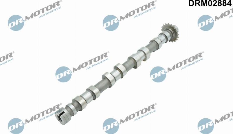 Dr.Motor Automotive DRM02884 - Arbre à came droxauto.com
