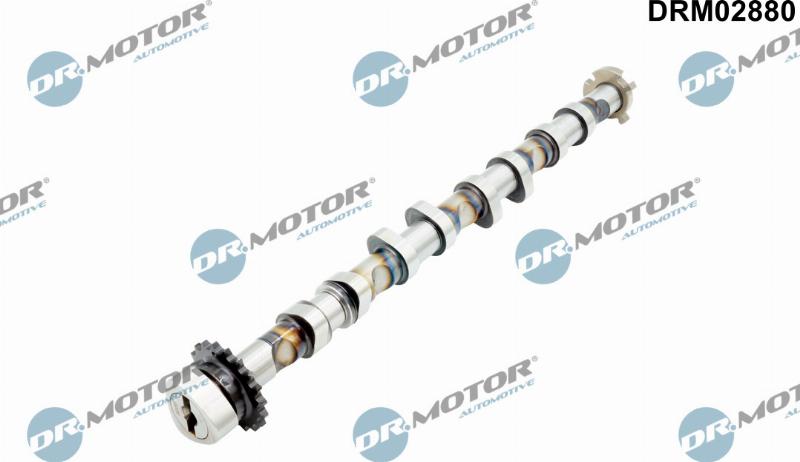Dr.Motor Automotive DRM02880 - Arbre à came droxauto.com