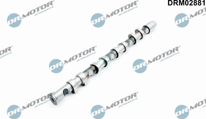 Dr.Motor Automotive DRM02881 - Arbre à came droxauto.com