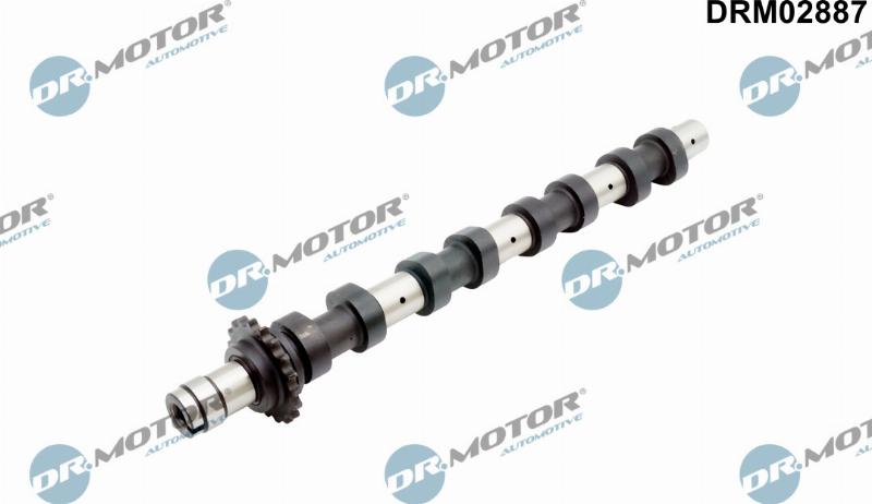 Dr.Motor Automotive DRM02887 - Arbre à came droxauto.com