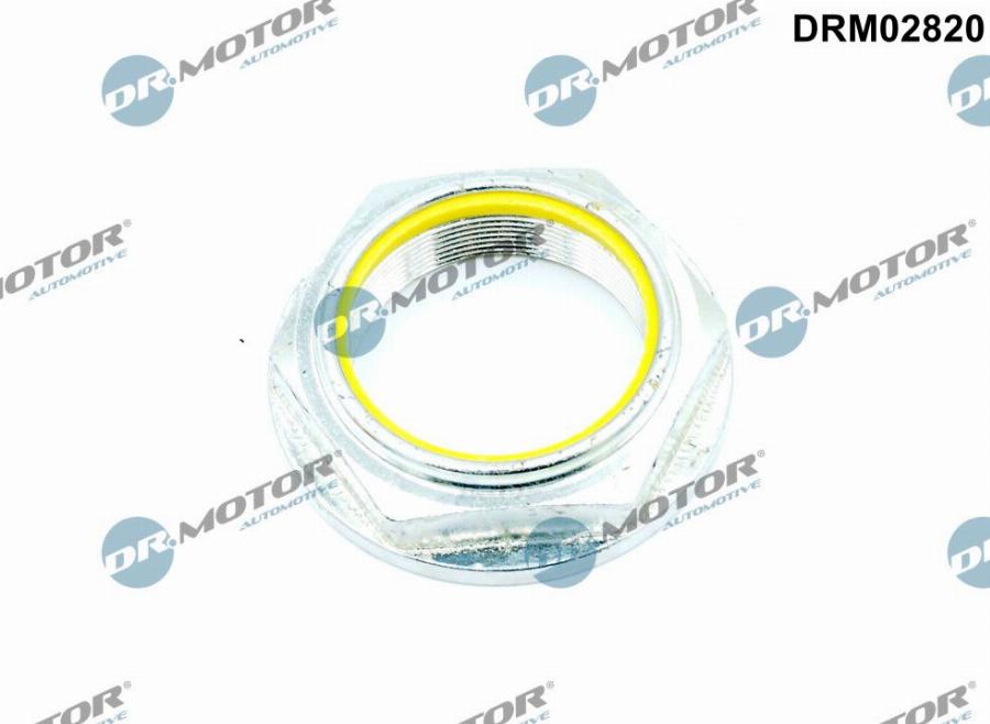 Dr.Motor Automotive DRM02820 - Écrou, bout d'essieu droxauto.com