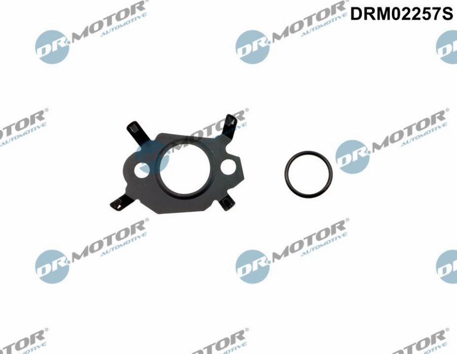 Dr.Motor Automotive DRM02257S - Jeu de joints d'étanchéité, système EGR droxauto.com