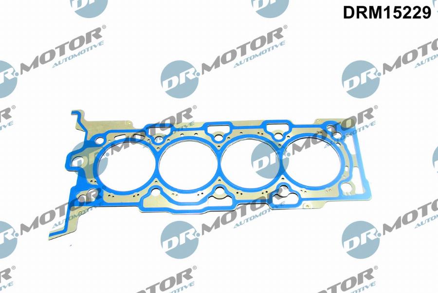 Dr.Motor Automotive DRM15229 - Joint d'étanchéité, culasse droxauto.com