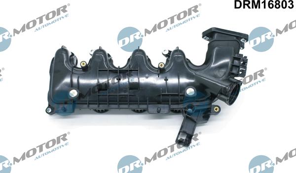Dr.Motor Automotive DRM16803 - Module de tube d'admission droxauto.com