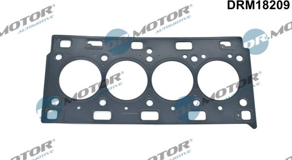 Dr.Motor Automotive DRM18209 - Joint d'étanchéité, culasse droxauto.com