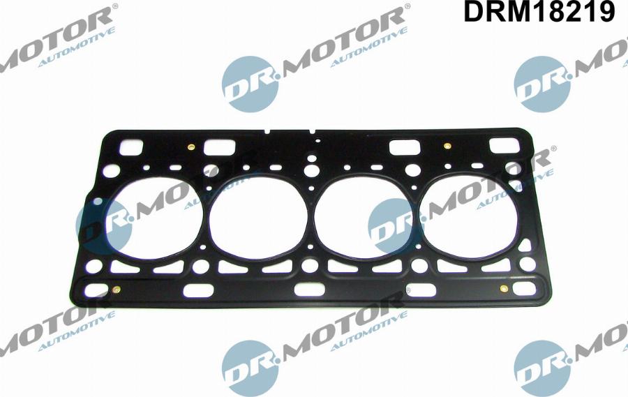 Dr.Motor Automotive DRM18219 - Joint d'étanchéité, culasse droxauto.com