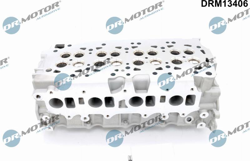 Dr.Motor Automotive DRM13406 - Culasse de cylindre droxauto.com