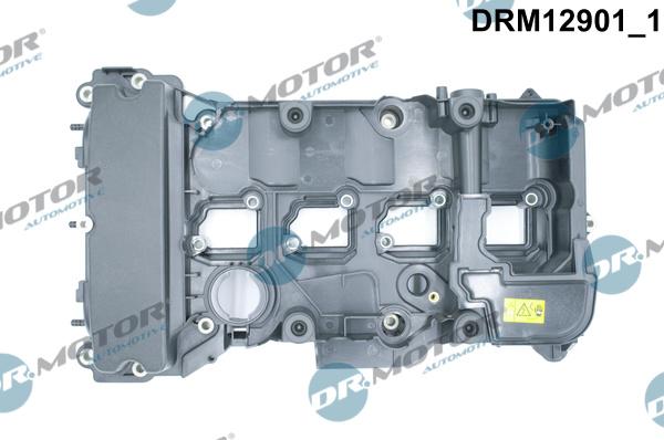 Dr.Motor Automotive DRM12901 - Couvercle de culasse droxauto.com
