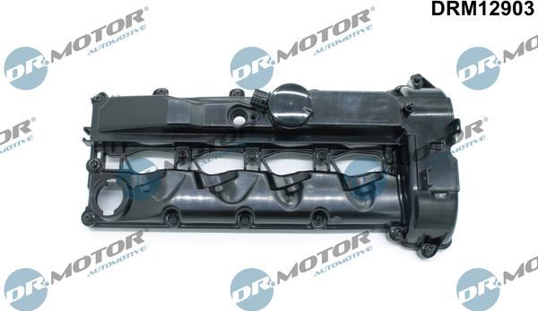 Dr.Motor Automotive DRM12903 - Couvercle de culasse droxauto.com